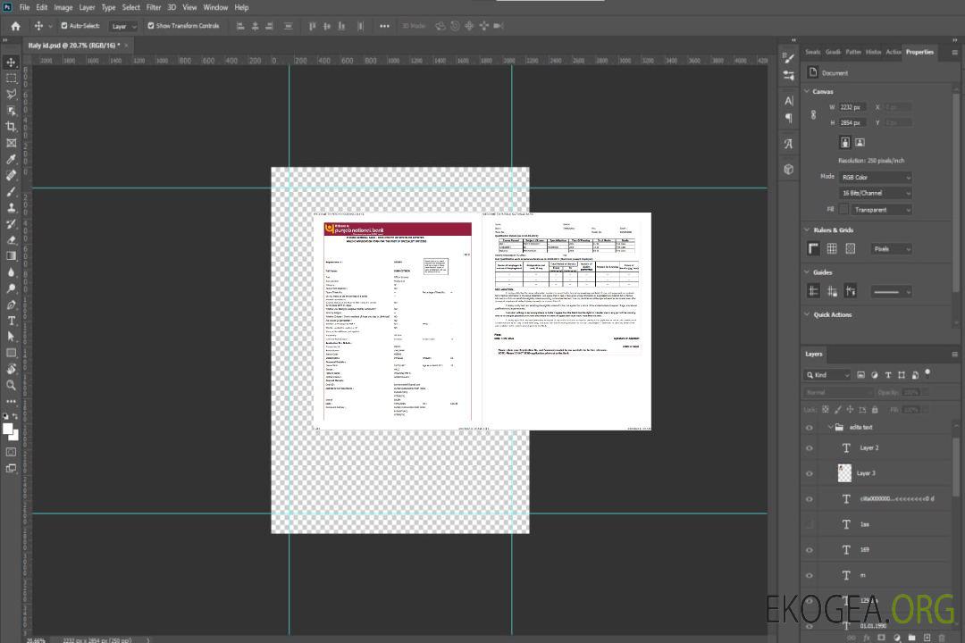 Modèle Word et PDF de relevé de la Banque nationale de l'Inde du Pendjab, 2 pages template Modèle Word et PDF de relevé de la Banque nationale de l'Inde du Pendjab, 2 pages template